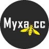 Myxacc