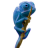 imsch
